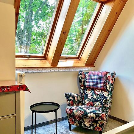 Apartament Gimnazjalna 8A 扎科帕内 外观 照片